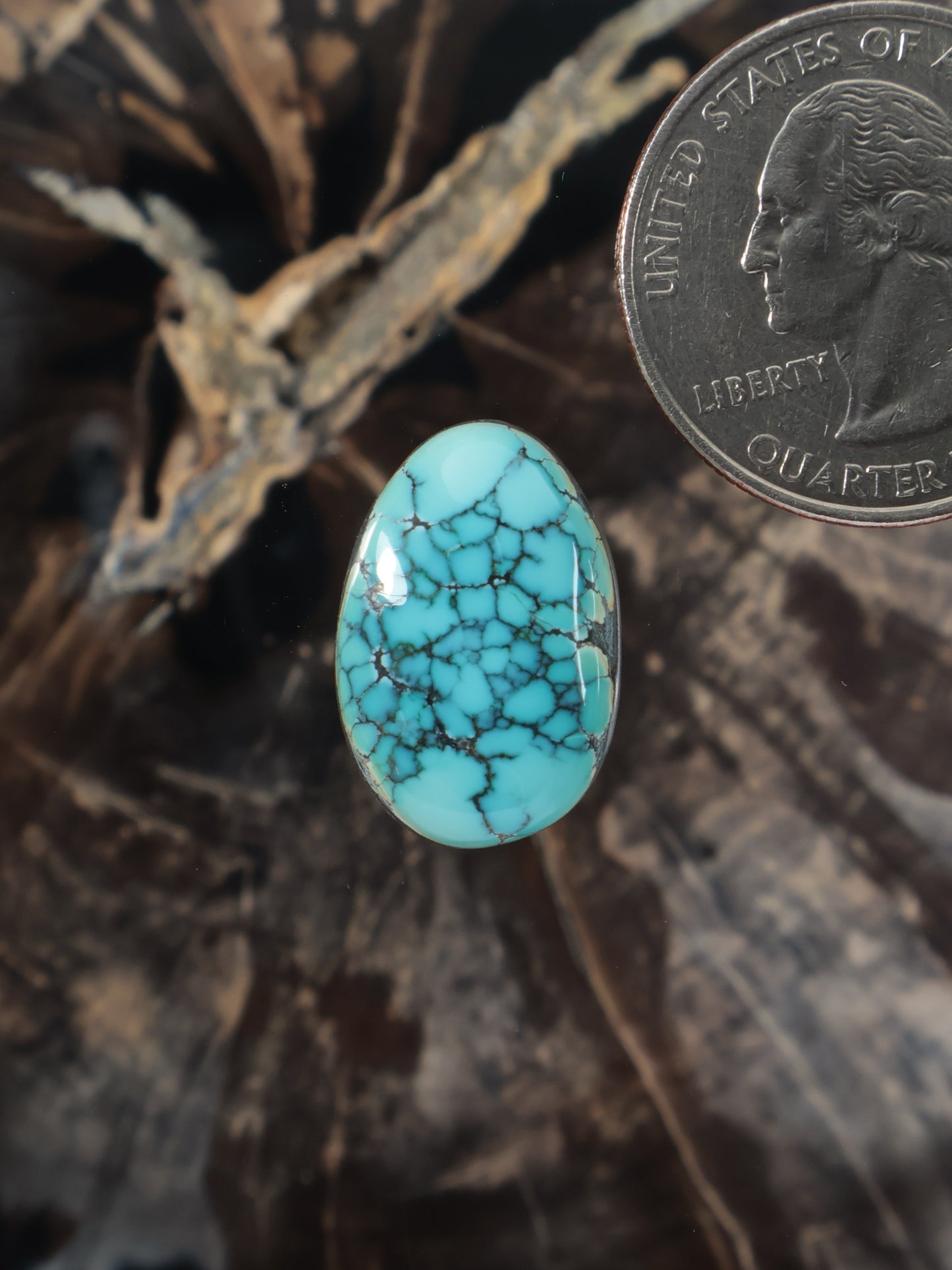 Oval blue turquoise cabochon gemstone with natural web matrix pattern