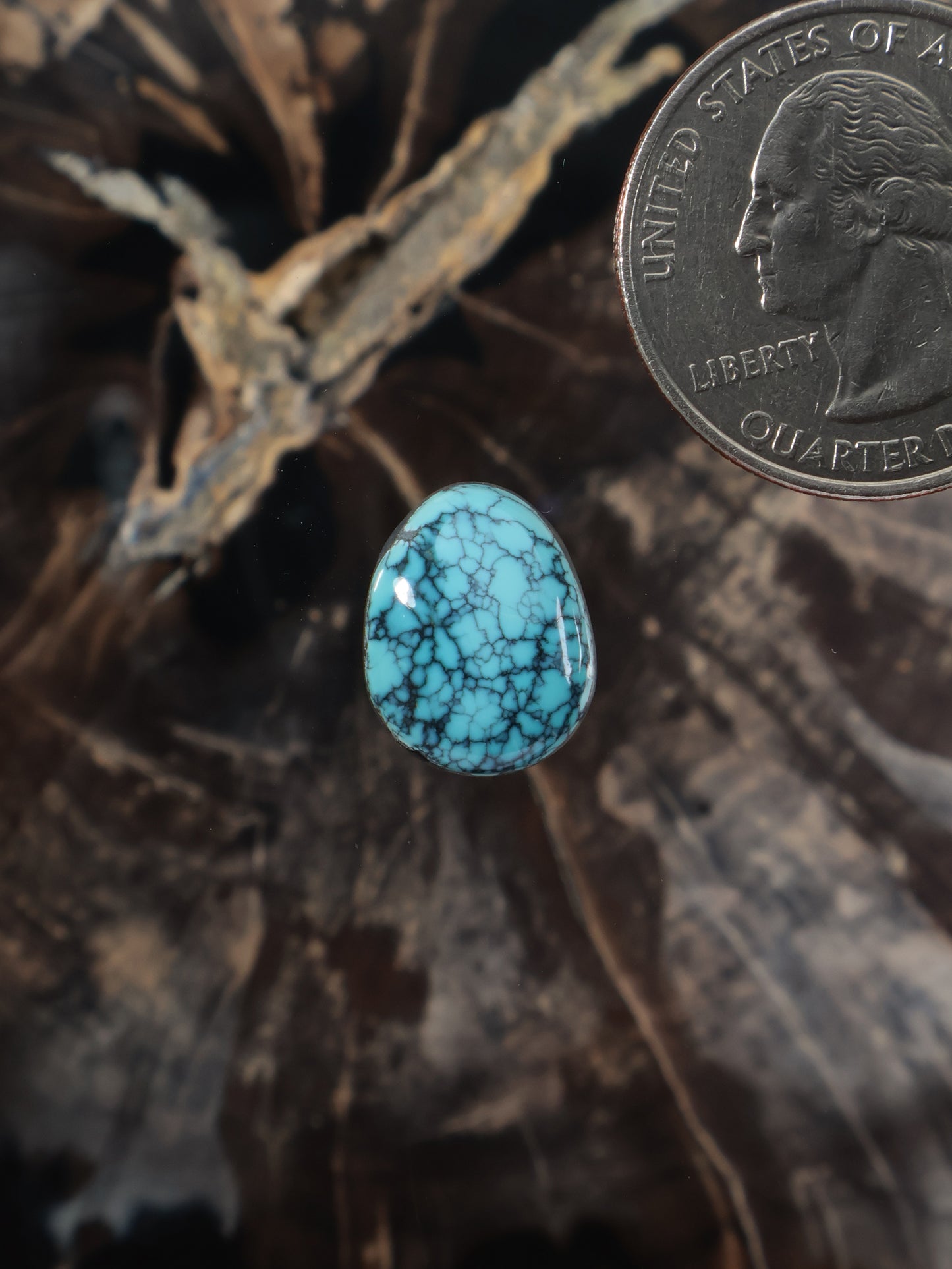 Blue Moon turquoise cabochon oval with natural webbed matrix, polished stone
