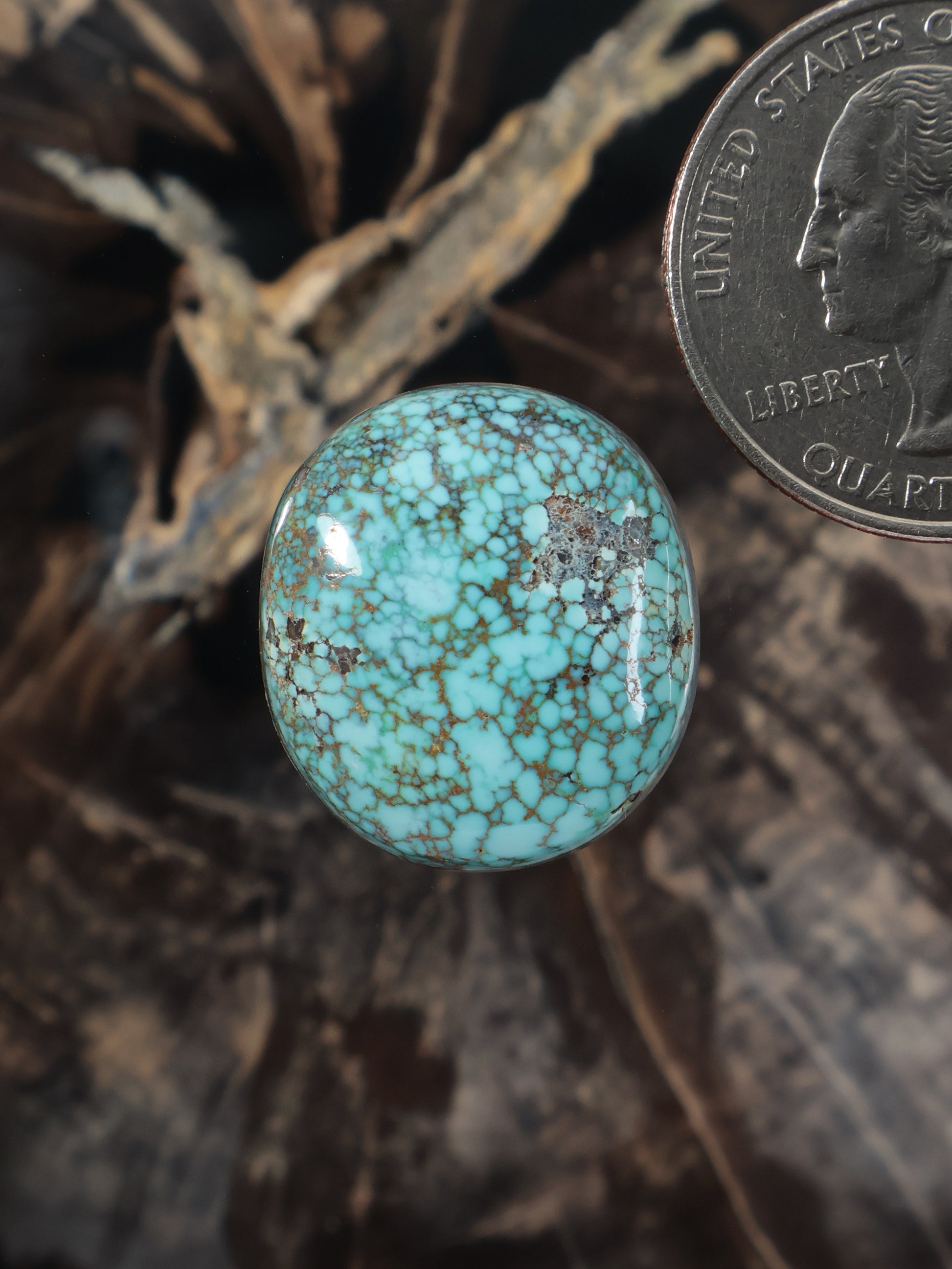 Round turquoise cabochon with blue-green spiderweb matrix pattern