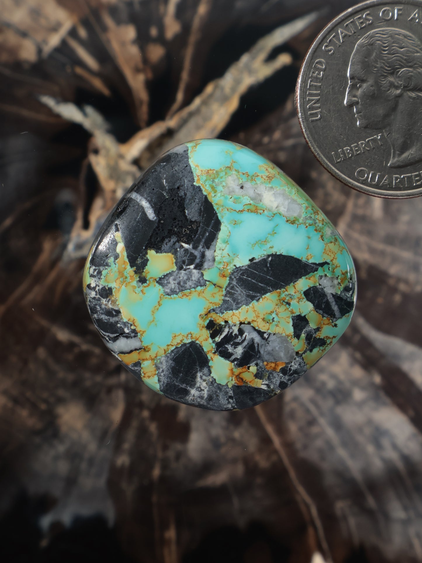 Polychrome turquoise cabochon with black matrix, oval stone, gemstone