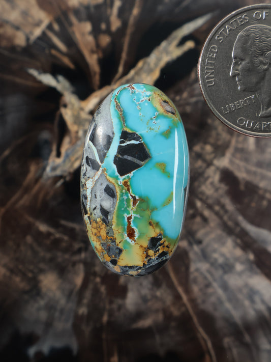 Oval turquoise cabochon with blue-green color, golden-brown matrix, and black veining