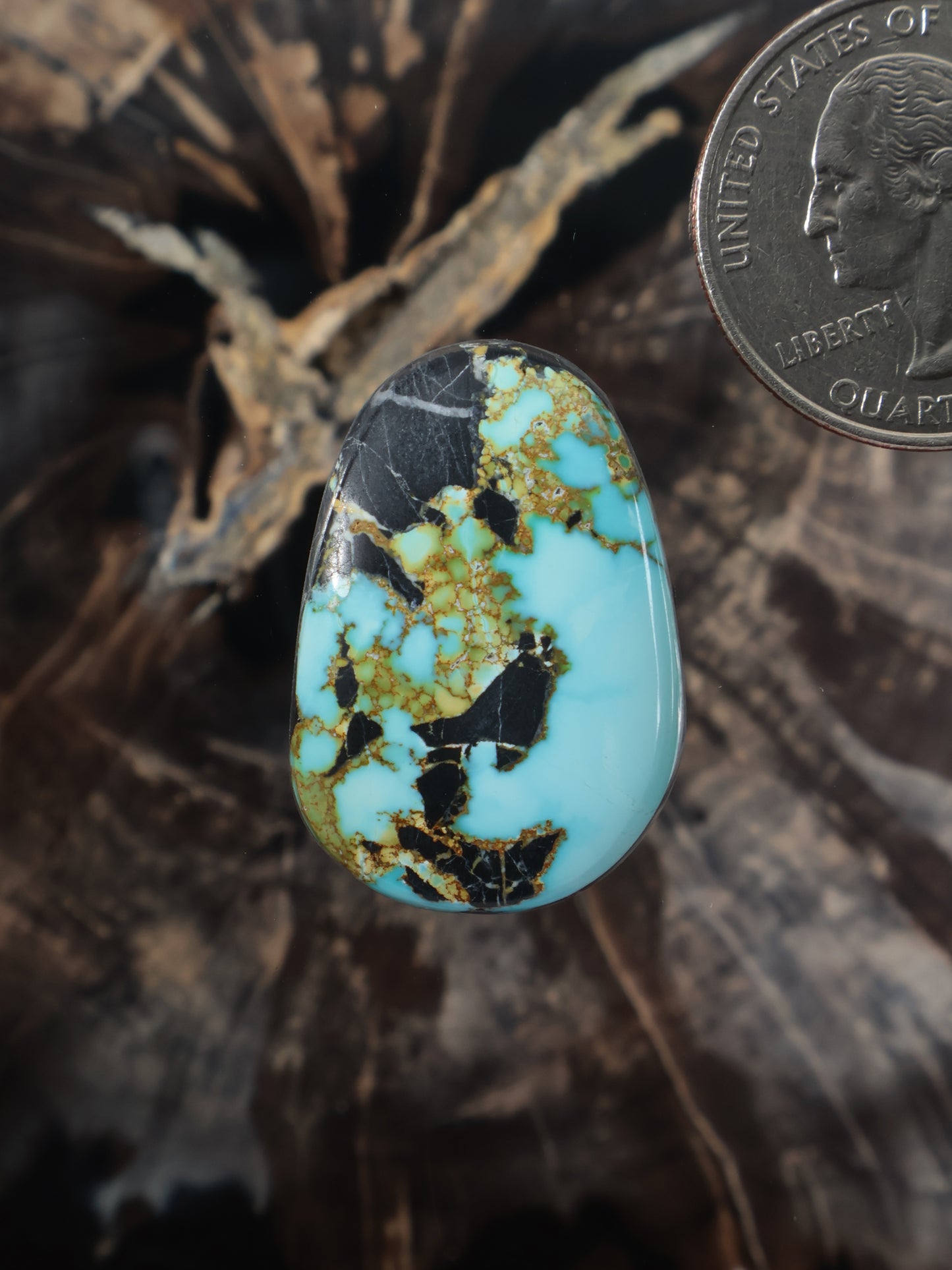 Turquoise teardrop cabochon gemstone with gold and black matrix on blue stone