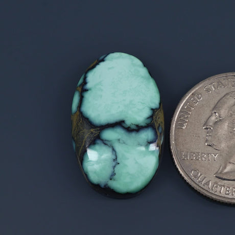 Angel Wing Variscite Cabochon A015