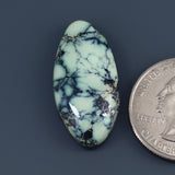 Prince Variscite Cabochon A074