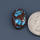 Egyptian Prince Turquoise Cabochon A040