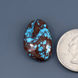 Egyptian Prince Turquoise Cabochon A036