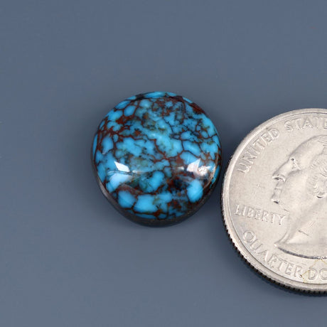 Egyptian Prince Turquoise Cabochon A045