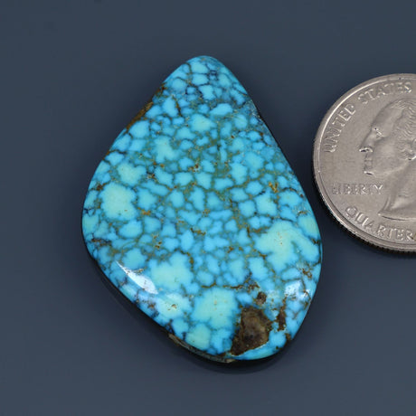 Kingman Waterweb Turquoise Cabochon A066