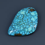 Kingman Waterweb Turquoise Cabochon A066