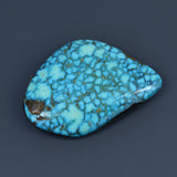 Kingman Waterweb Turquoise Cabochon A066