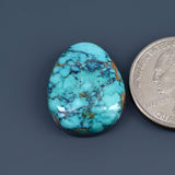 Hubei Turquoise Cabochon A025