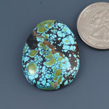 Sky Horse Turquoise Cabochon A207