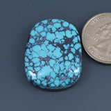 Cloud Mountain Turquoise Cabochon A145