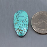 Sky Horse Turquoise Cabochon A241