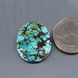 Sky Horse Turquoise Cabochon A239