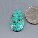 Sky Horse Turquoise Cabochon A253