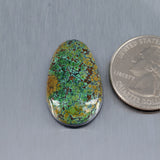 Sky Horse Turquoise Cabochon A242