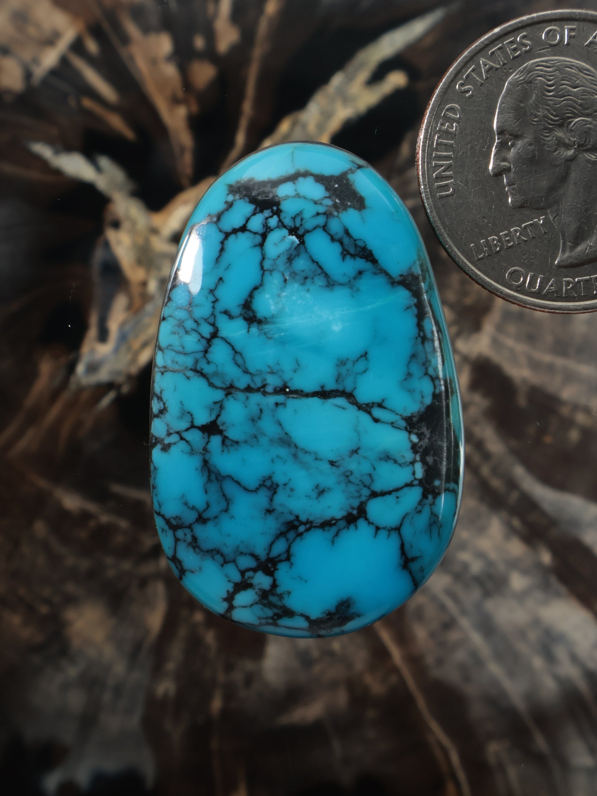 Hubei turquoise oval cabochon with blue body and dark web-like matrix veining
