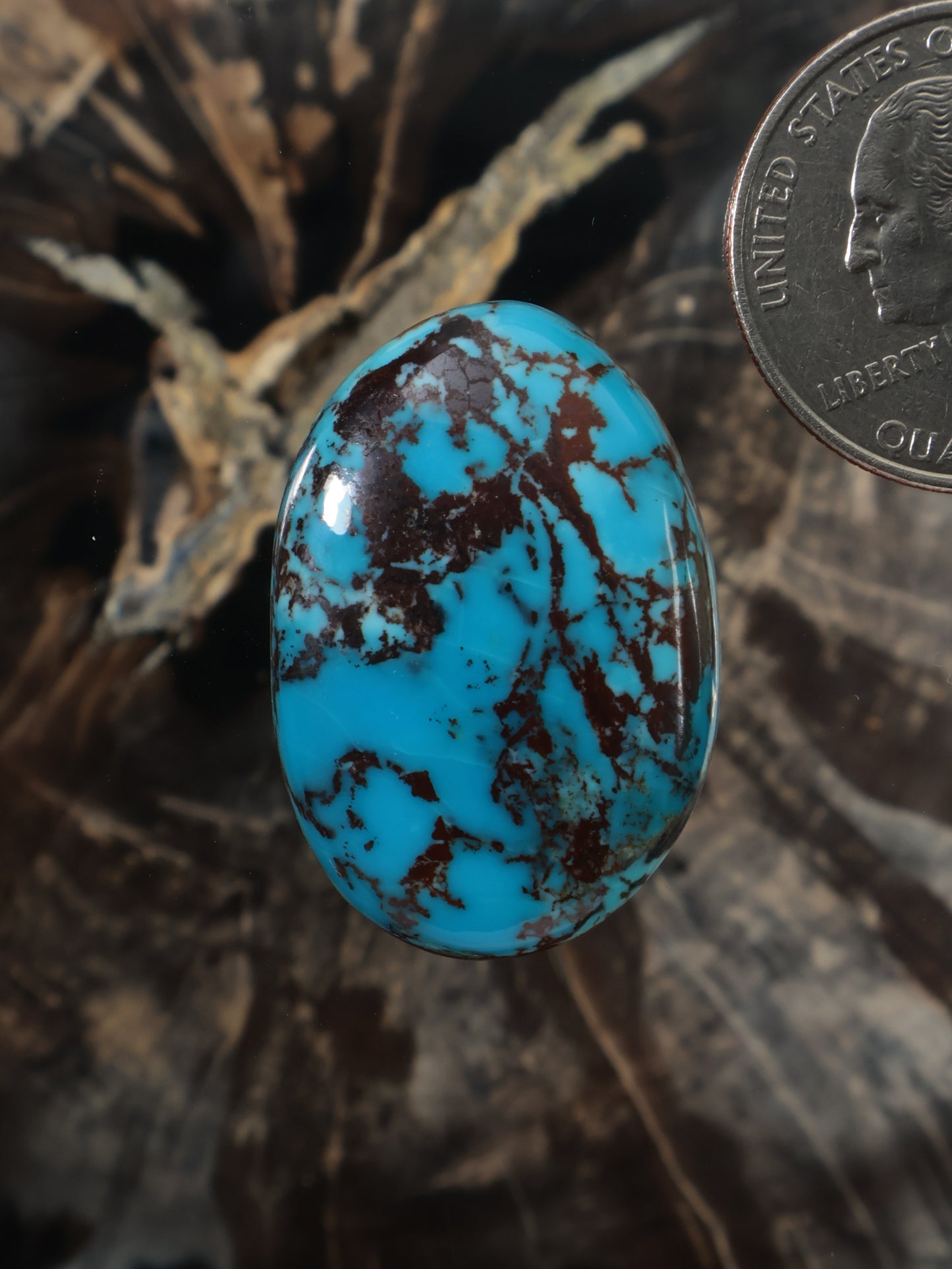 Oval turquoise cabochon with dark blue matrix veining, polished stone