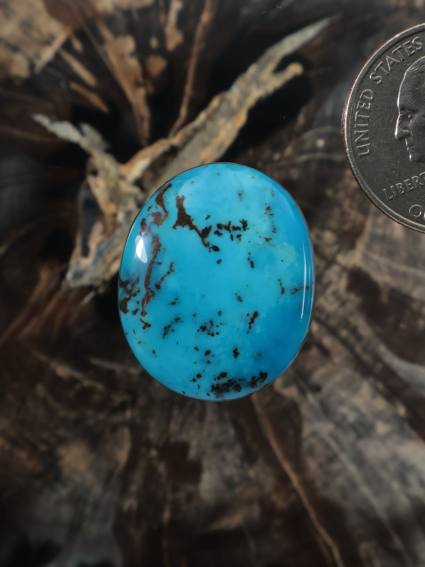 Turquoise cabochon gemstone, oval blue with dark matrix veining and polished shine