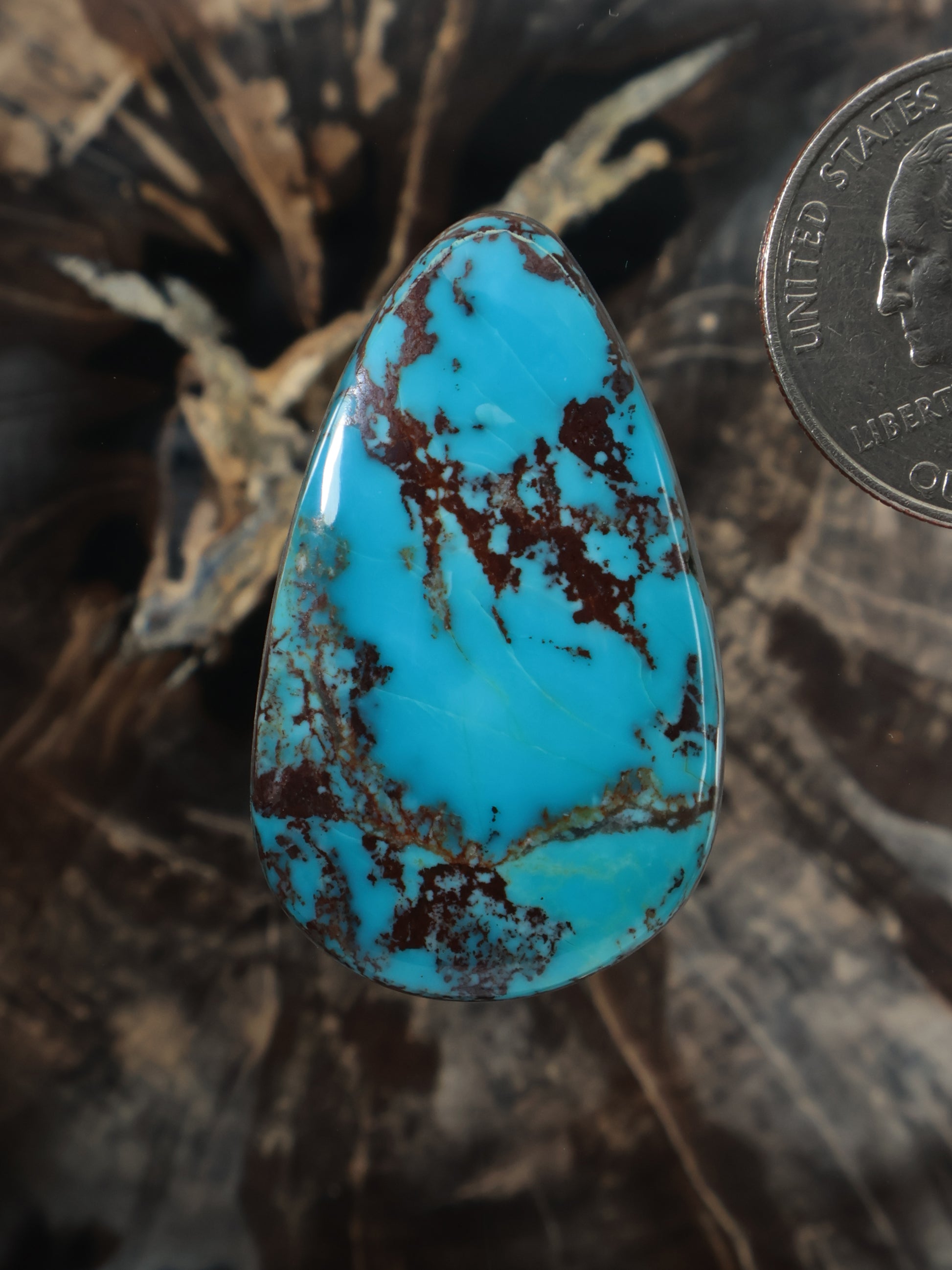 Blue turquoise cabochon gemstone with dark brown matrix in teardrop shape