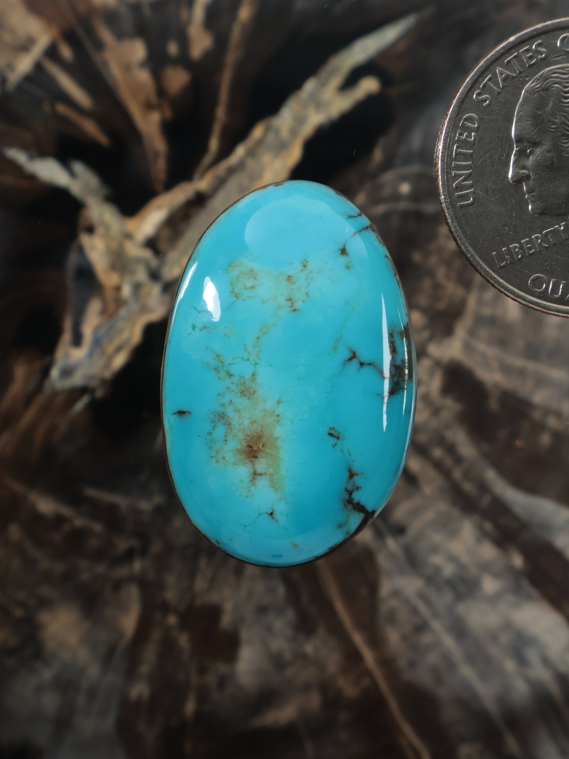 Oval turquoise cabochon gemstone with natural matrix veining