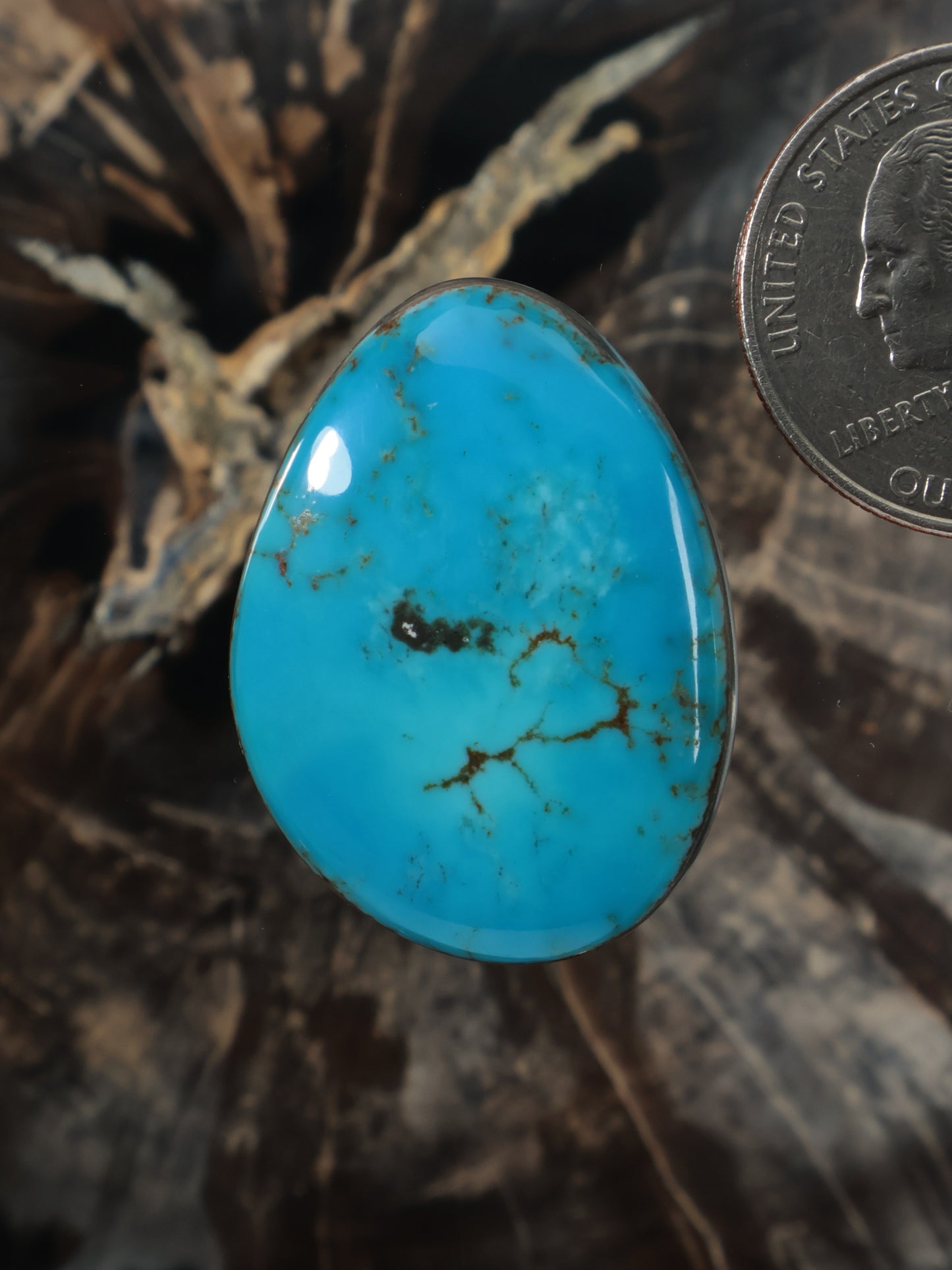Oval turquoise cabochon gemstone with natural dark veining, polished surface