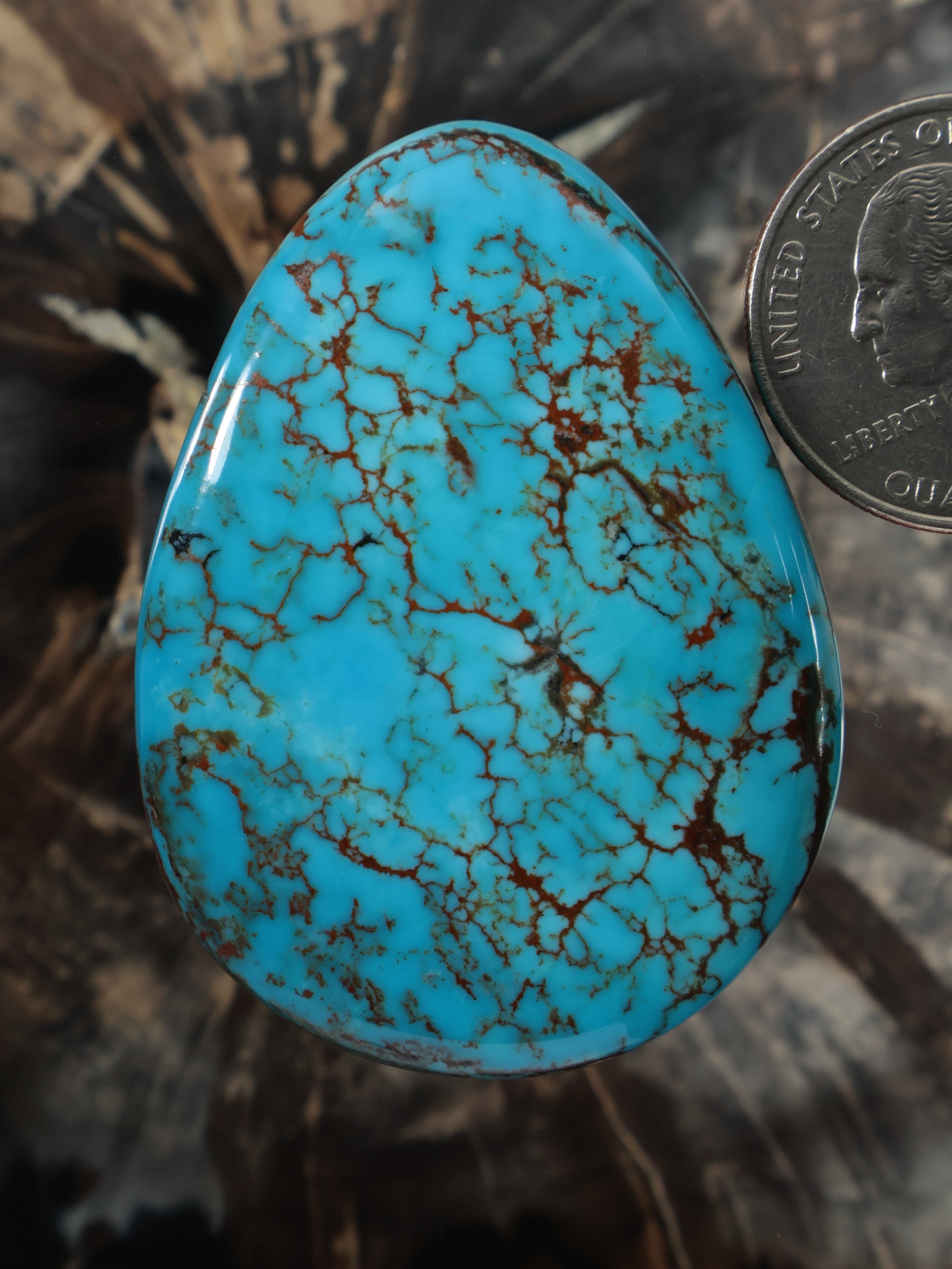 Oval Hubei turquoise cabochon with dark brown veining, polished stone