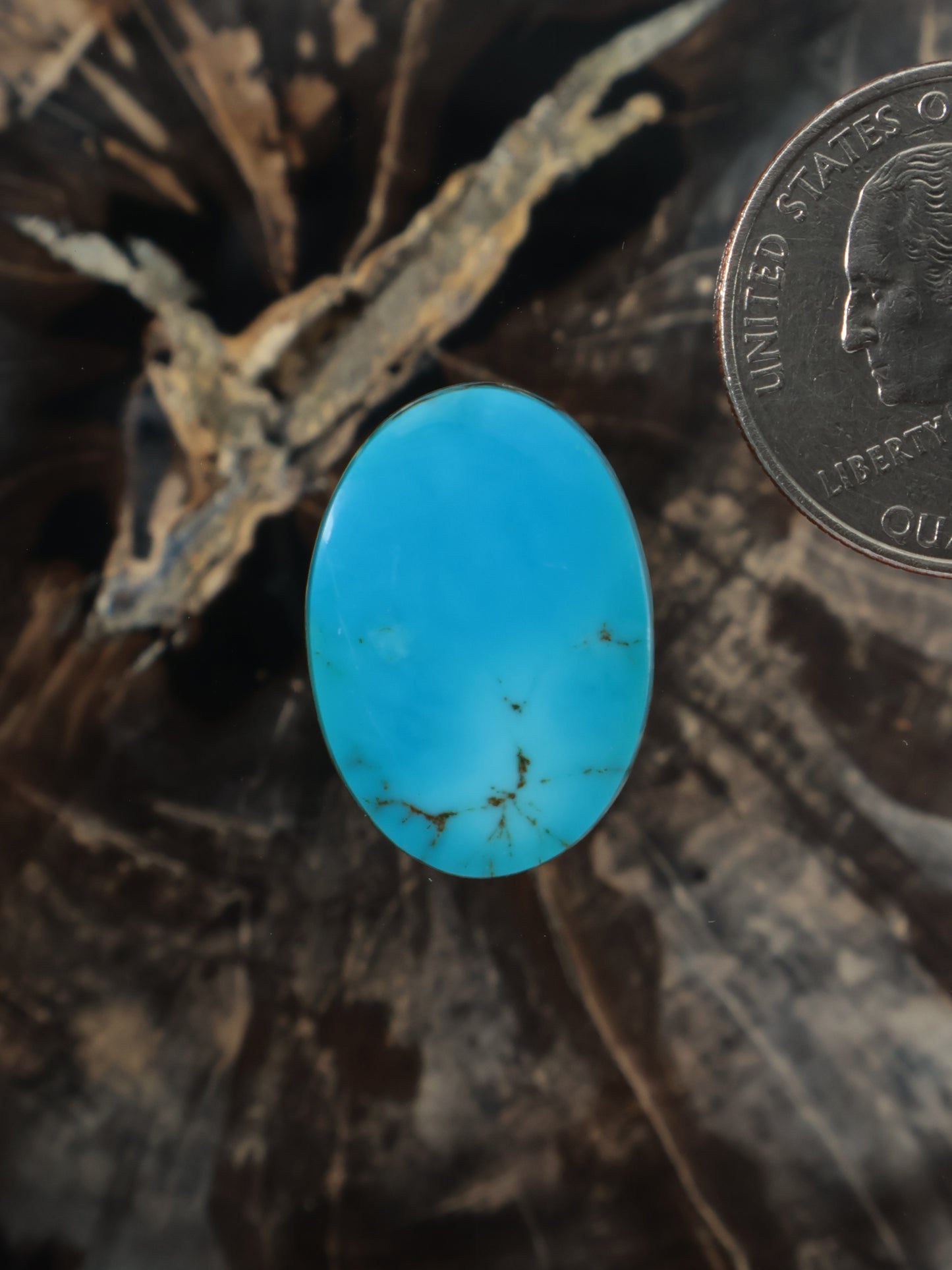 Oval turquoise cabochon with web-like matrix inclusions