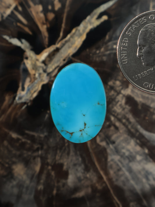 Oval turquoise cabochon with web-like matrix inclusions