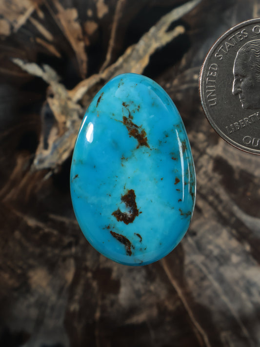 Turquoise cabochon gemstone, oval with blue-green color and dark natural veining