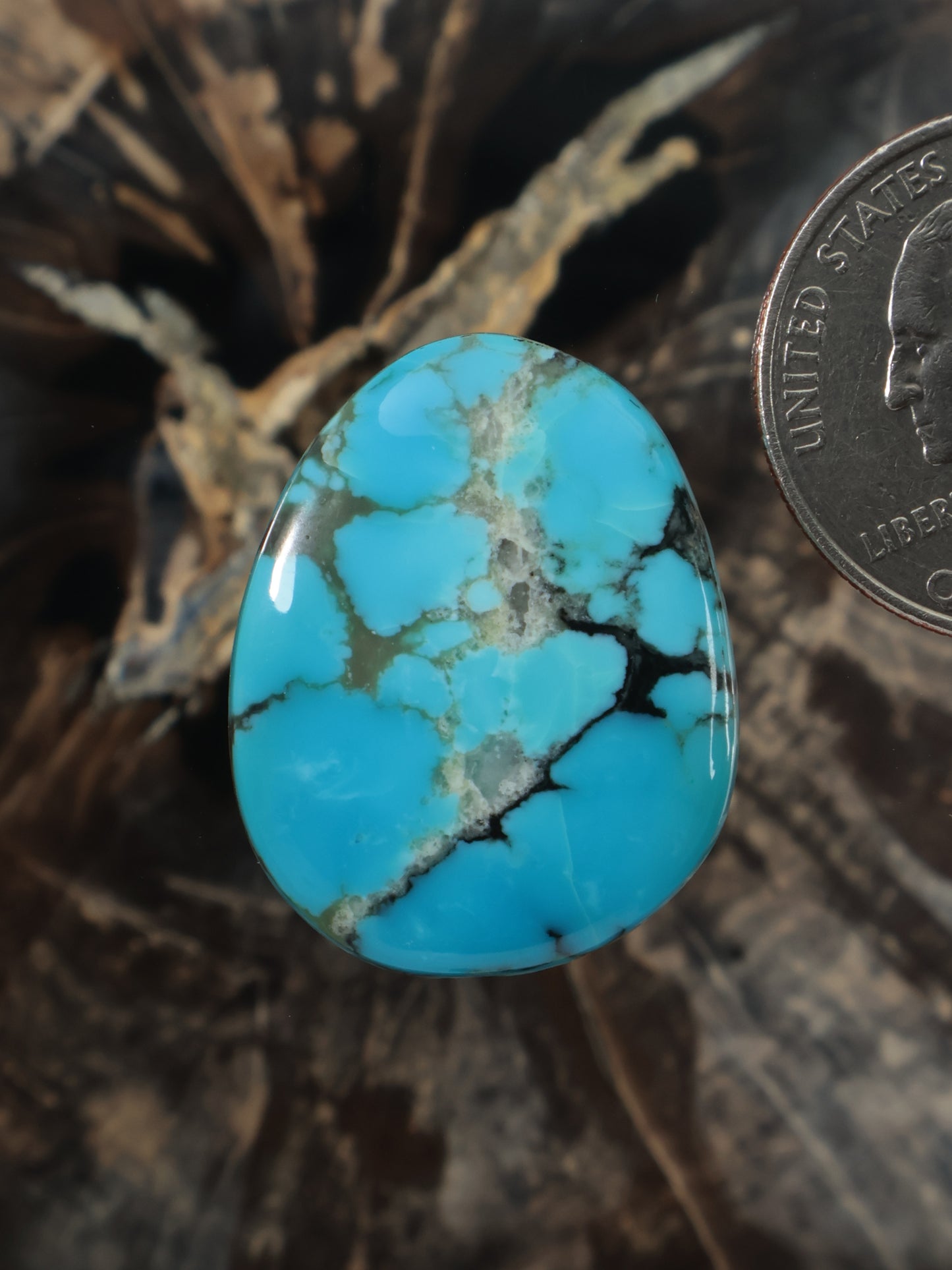 Turquoise oval cabochon gemstone with natural matrix veining