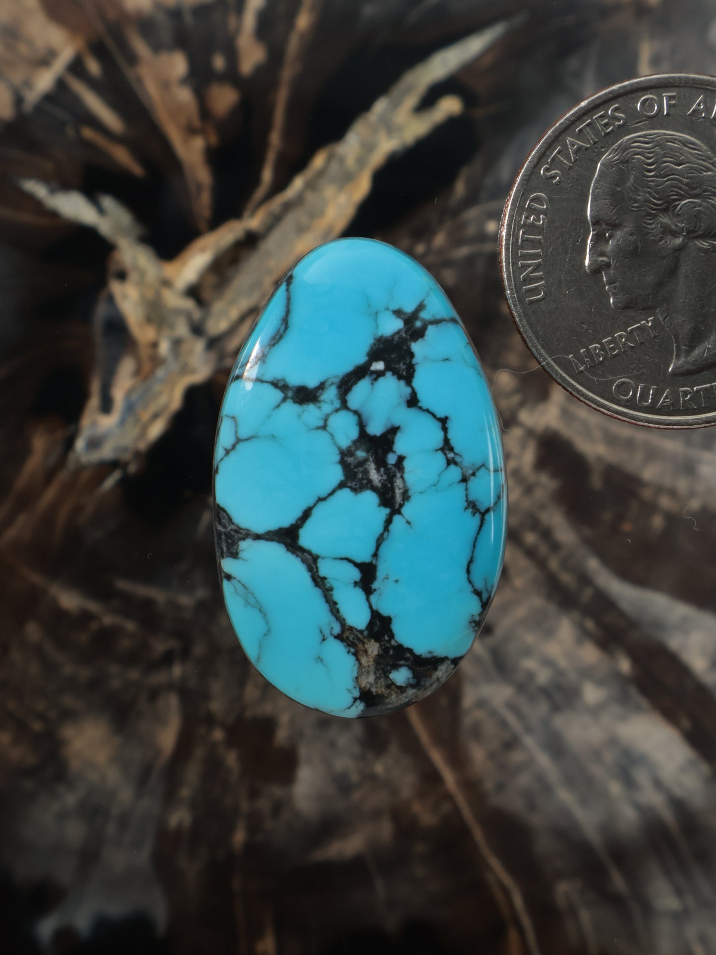 Oval turquoise cabochon with dark webbed matrix veining