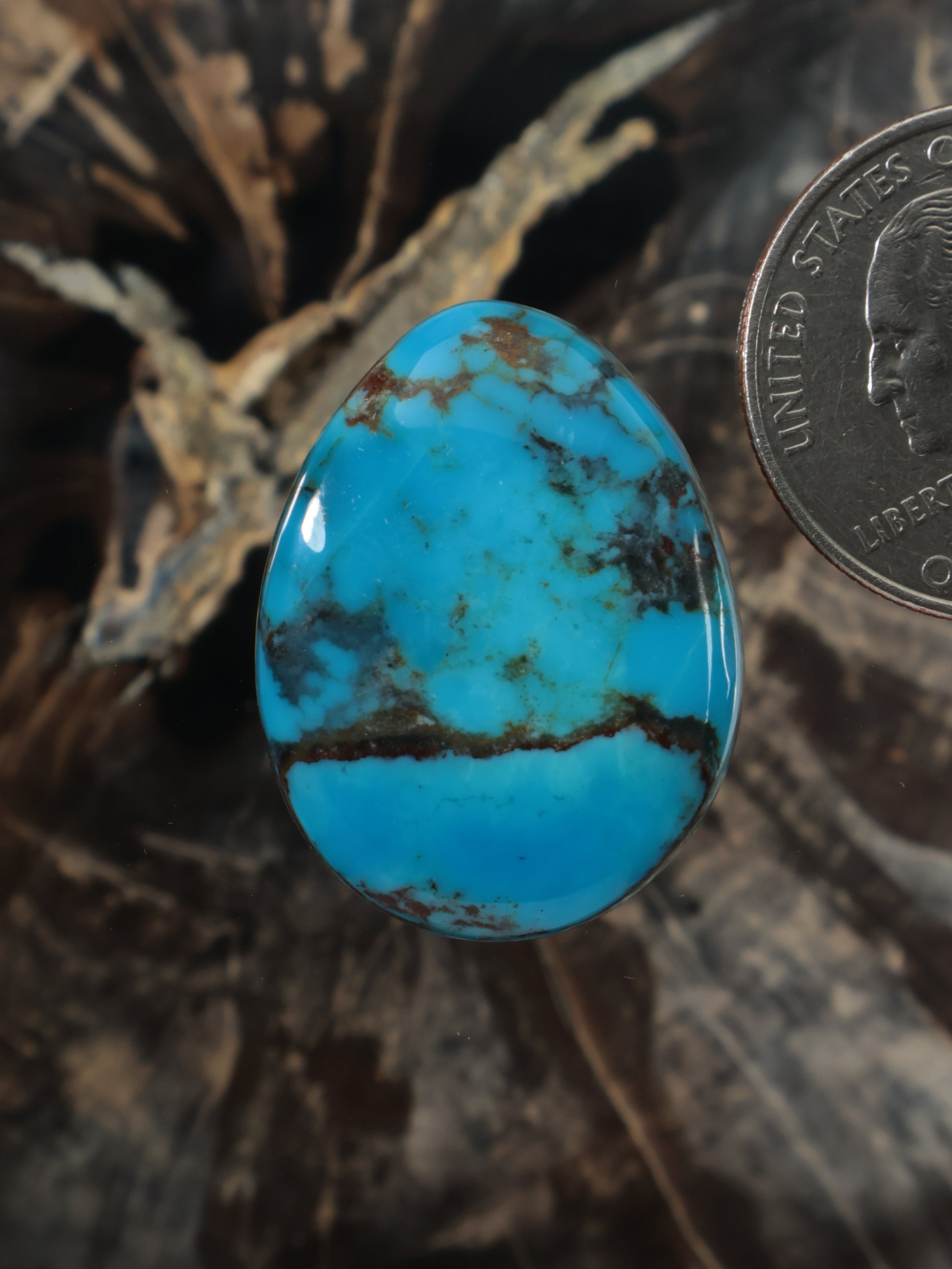 Turquoise oval cabochon gemstone with natural web matrix, polished blue.