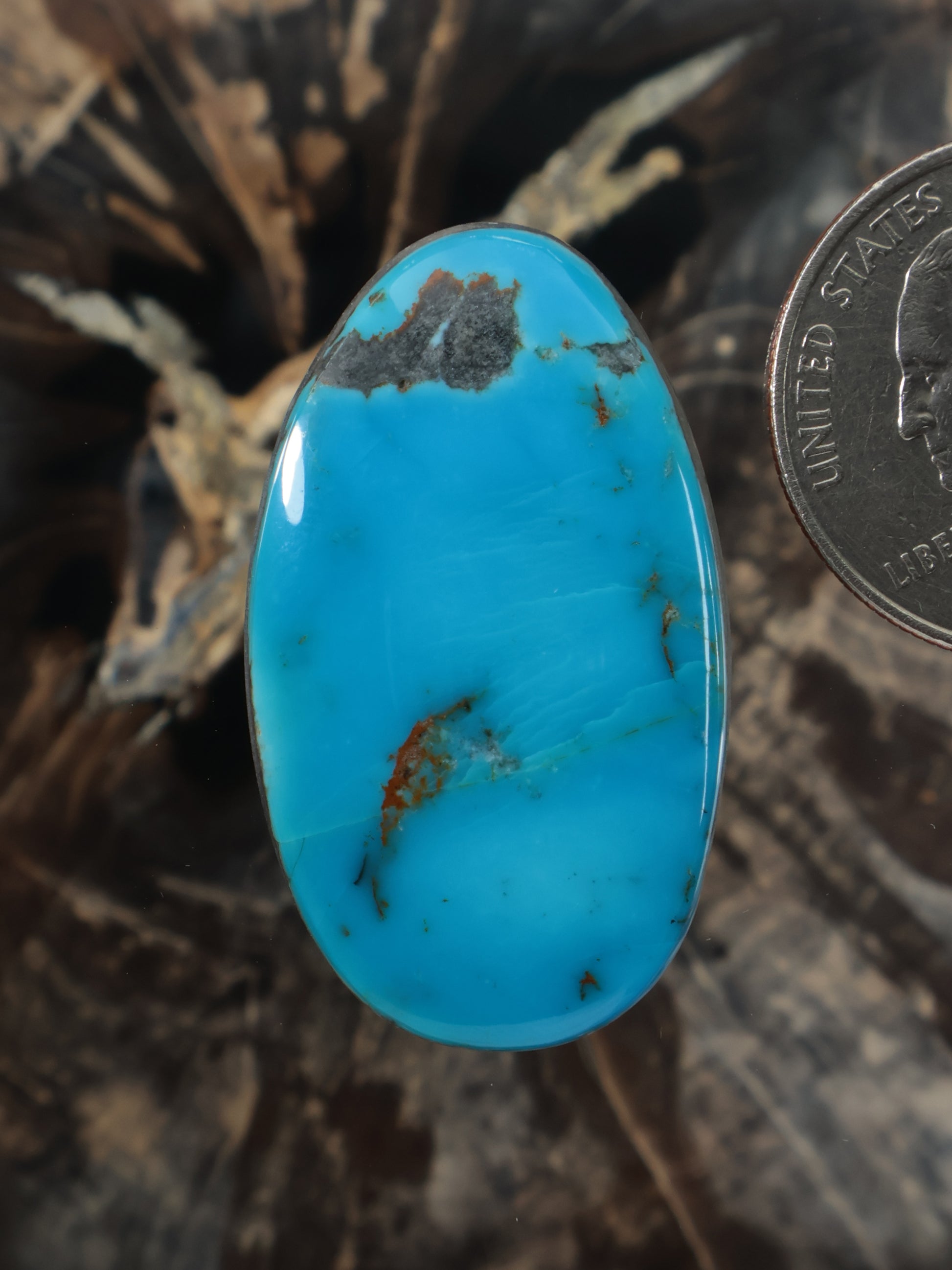 Oval turquoise cabochon with bright blue stone and brown matrix inlays