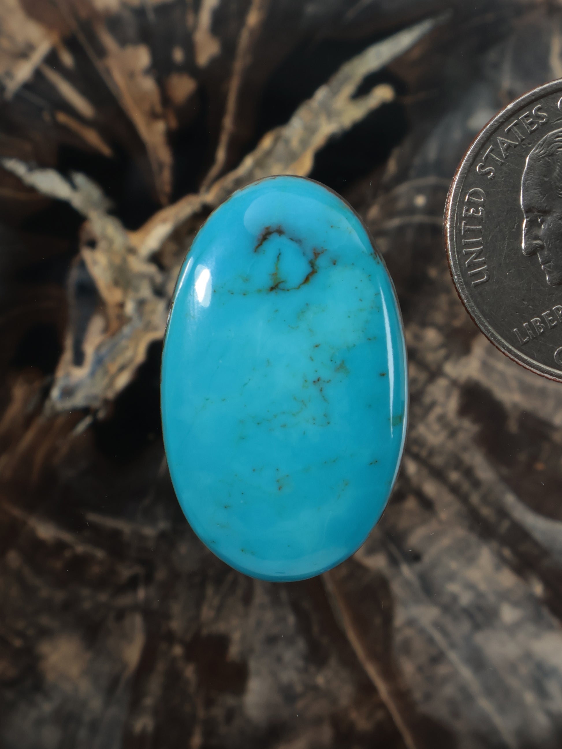 Oval turquoise cabochon with dark natural veining, polished surface