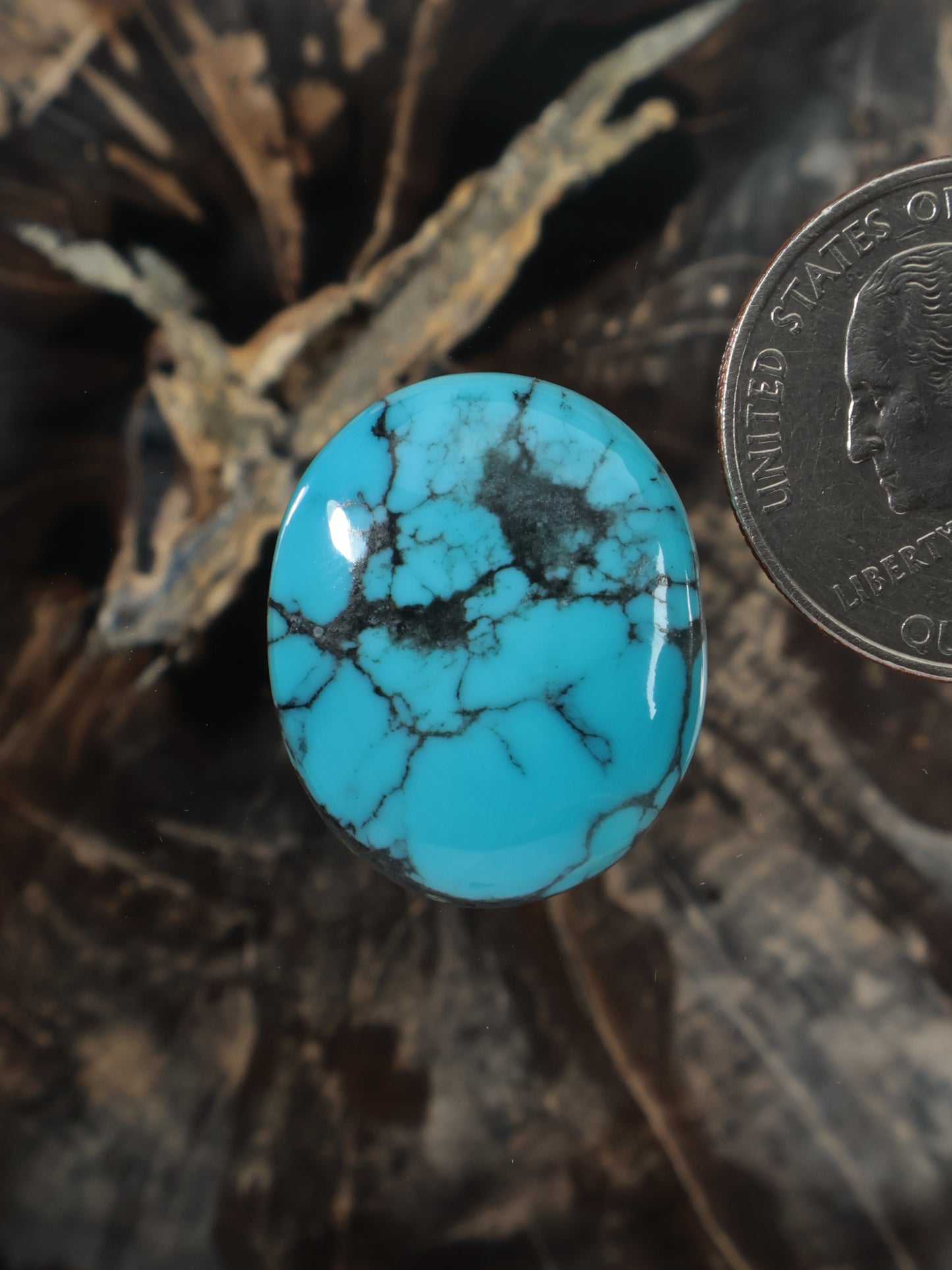 Oval turquoise blue cabochon gemstone with natural veining