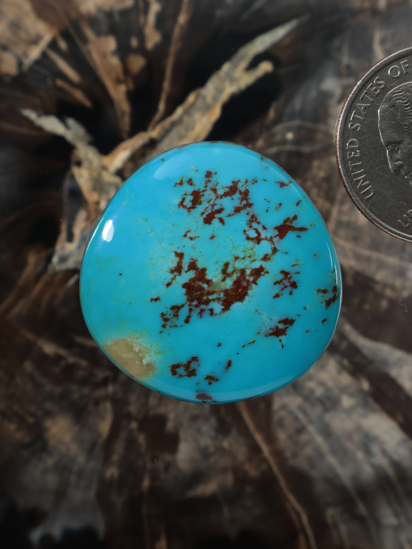 Oval turquoise cabochon gemstone with dark copper-brown speckled matrix