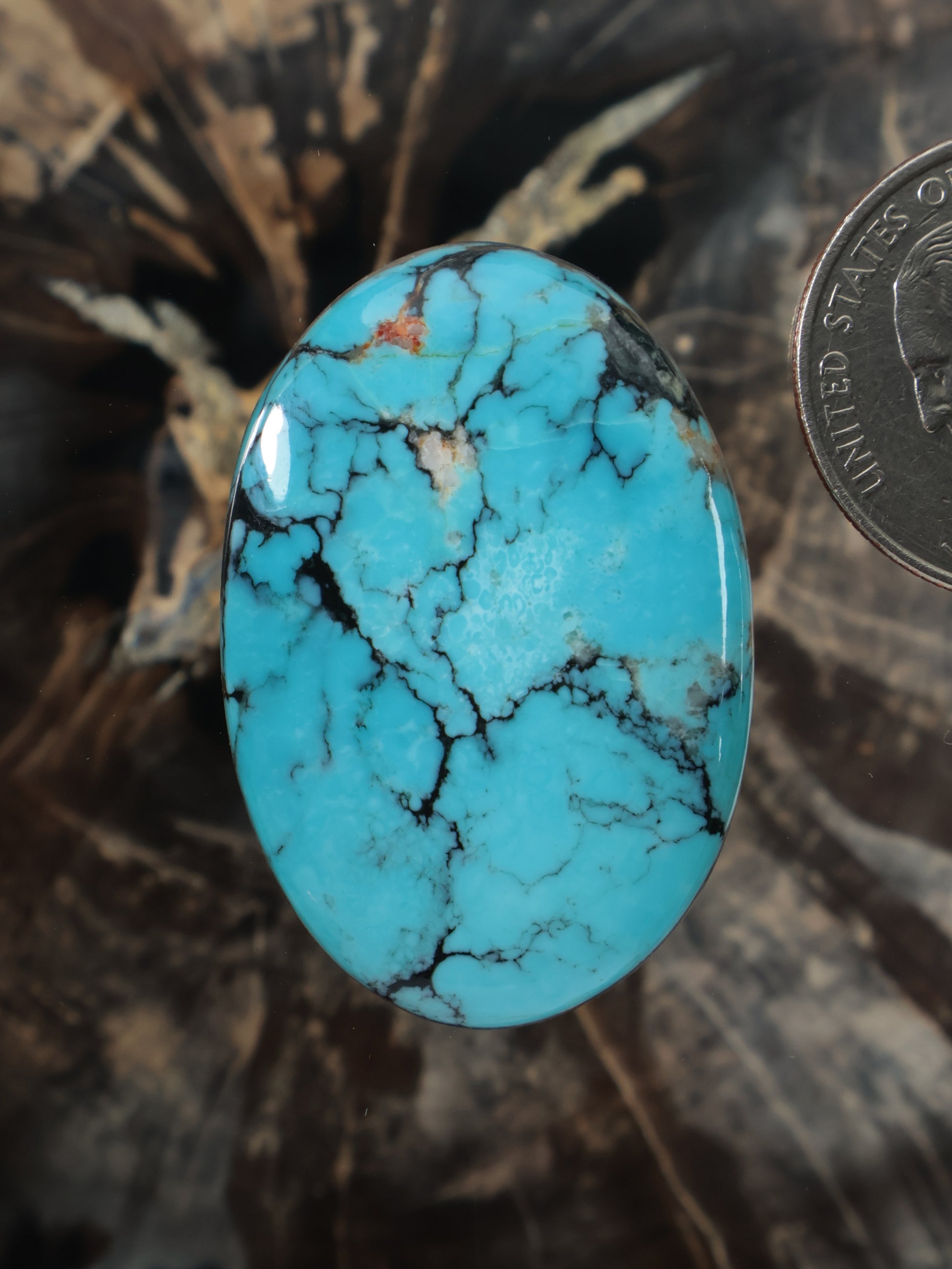 Hubei turquoise oval cabochon with dark matrix webbing