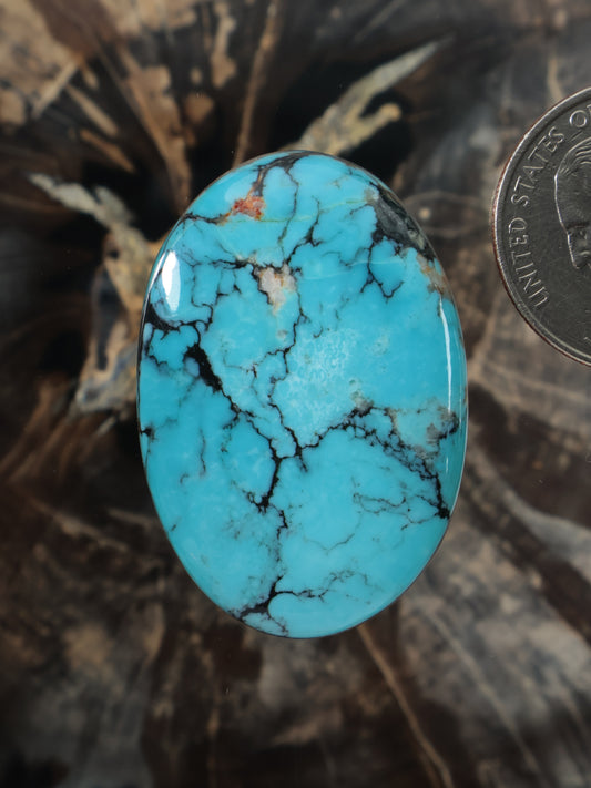 Hubei turquoise oval cabochon with dark matrix webbing