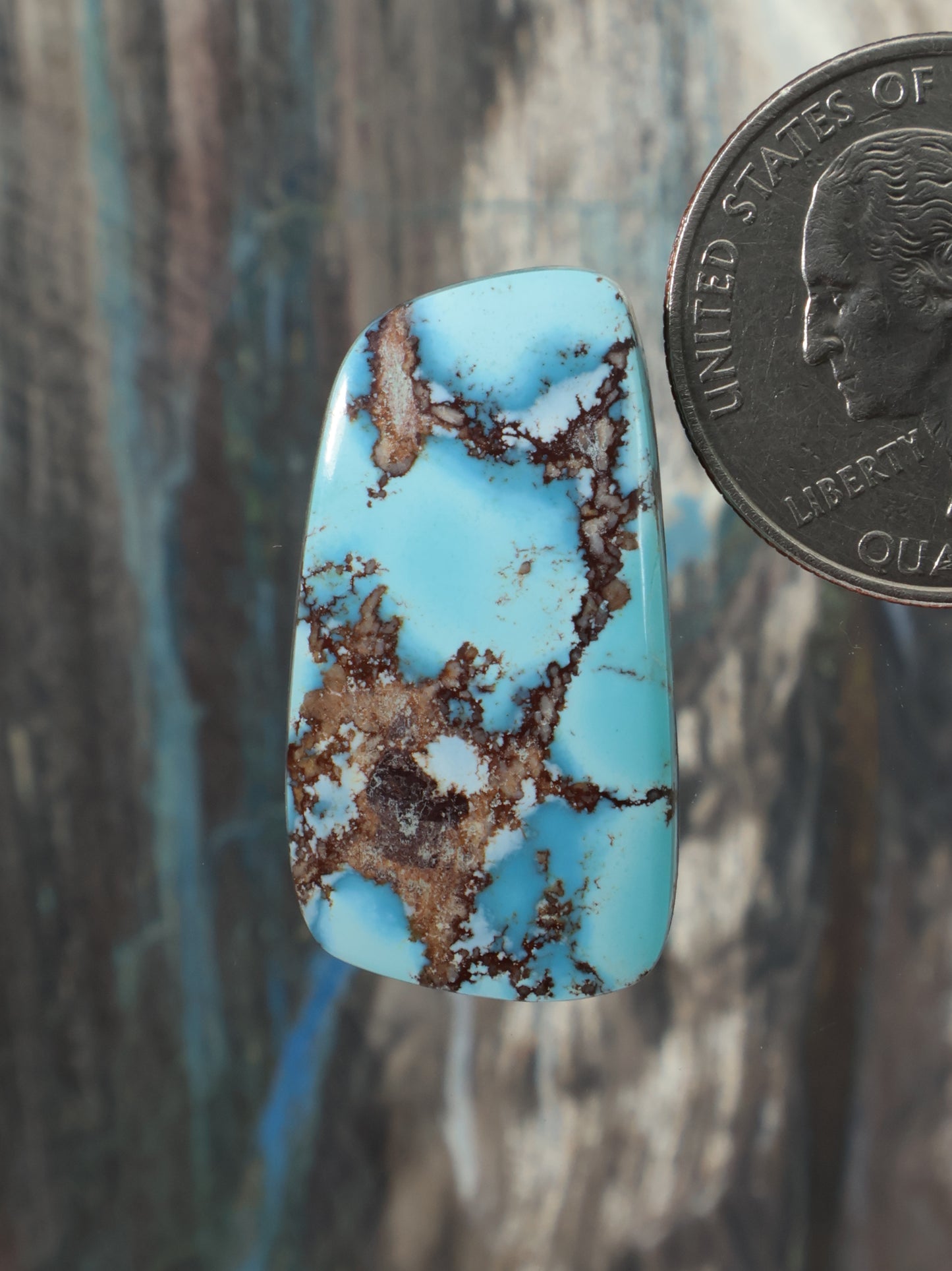 Turquoise cabochon gemstone with brown web matrix, oval