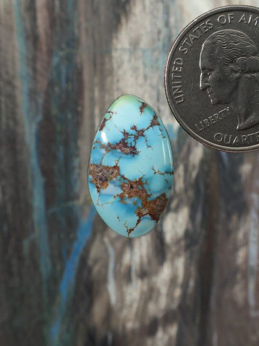 Turquoise oval cabochon gemstone with brown matrix veining