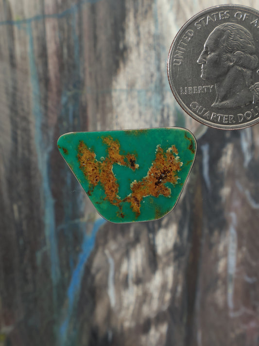 Triangular turquoise cabochon gemstone with brown matrix