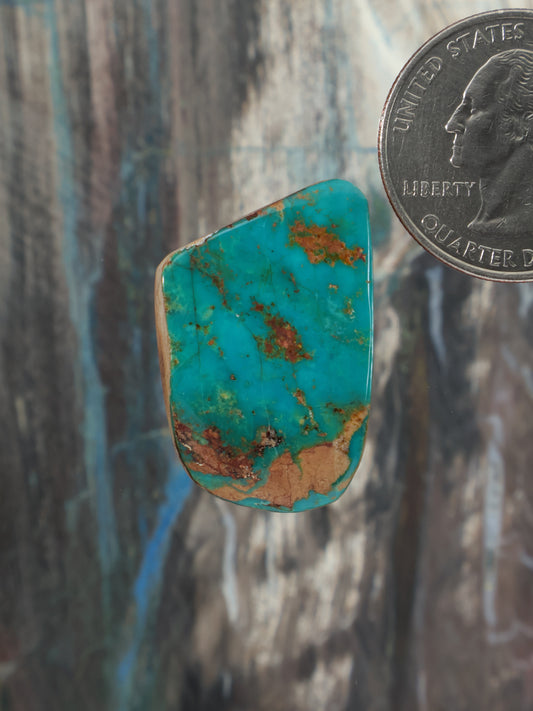 Turquoise cabochon gemstone with teardrop shape and brown veining, small size.