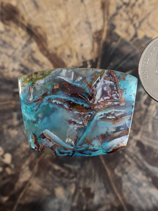 Turquoise chalcedony cabochon with dark copper veins and marbled white-gray patches