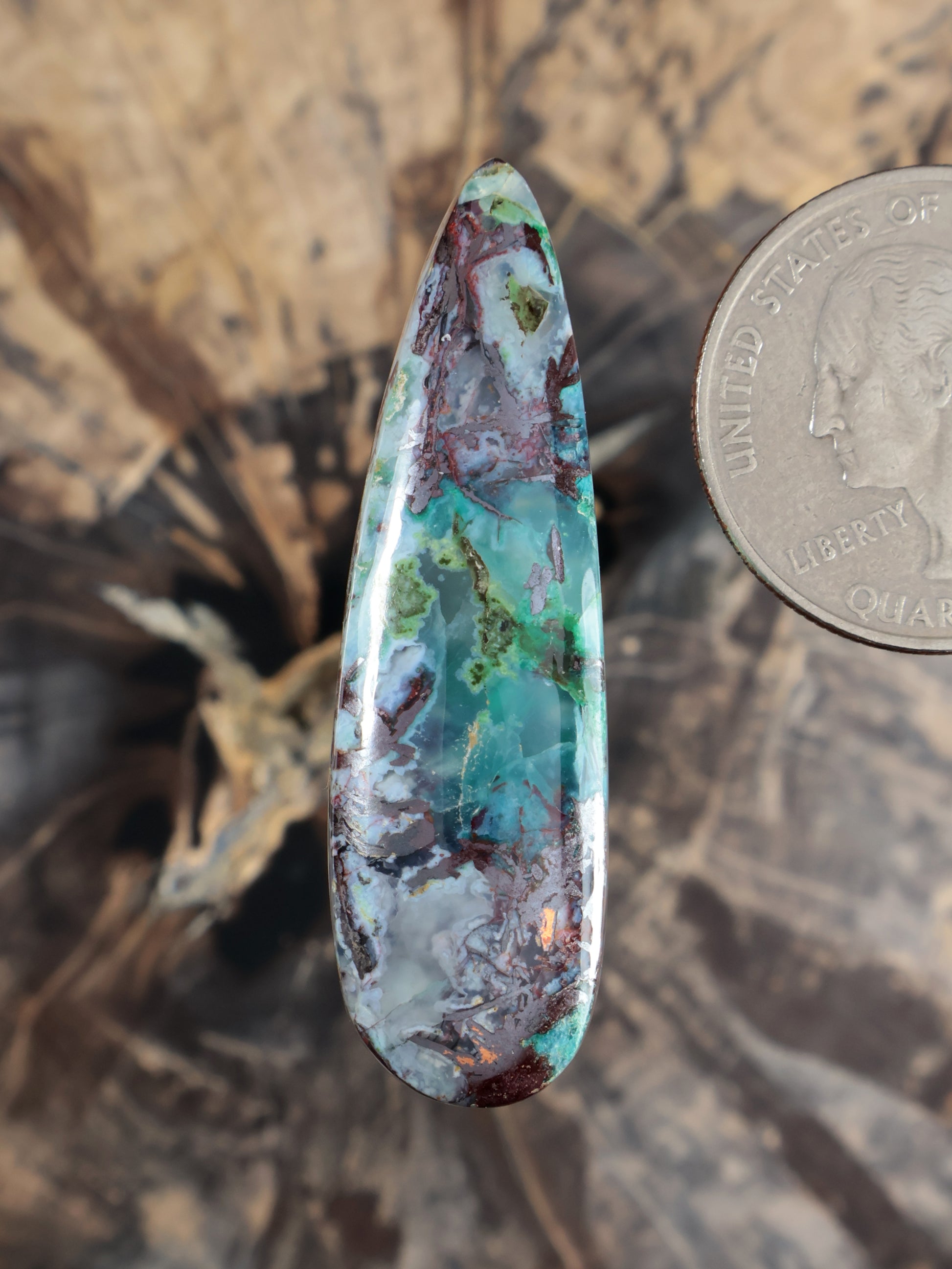 Chrysocolla chalcedony cabochon, elongated teardrop with turquoise, green, and dark brown veining