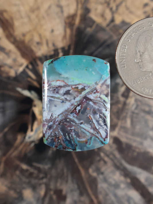 Chrysocolla chalcedony cabochon, turquoise with copper-and-brown veining, rounded square