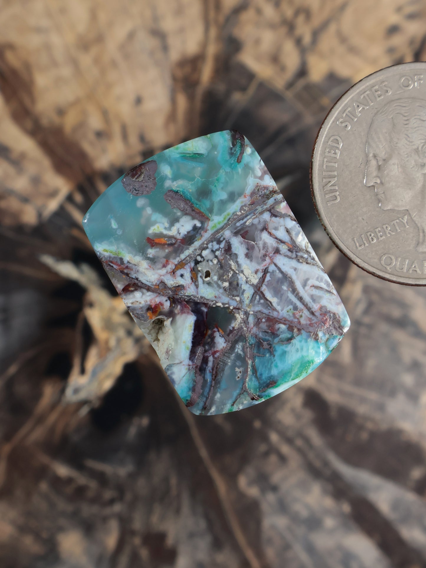 Chrysocolla chalcedony cabochon, turquoise with multicolor stone matrix veining, angled
