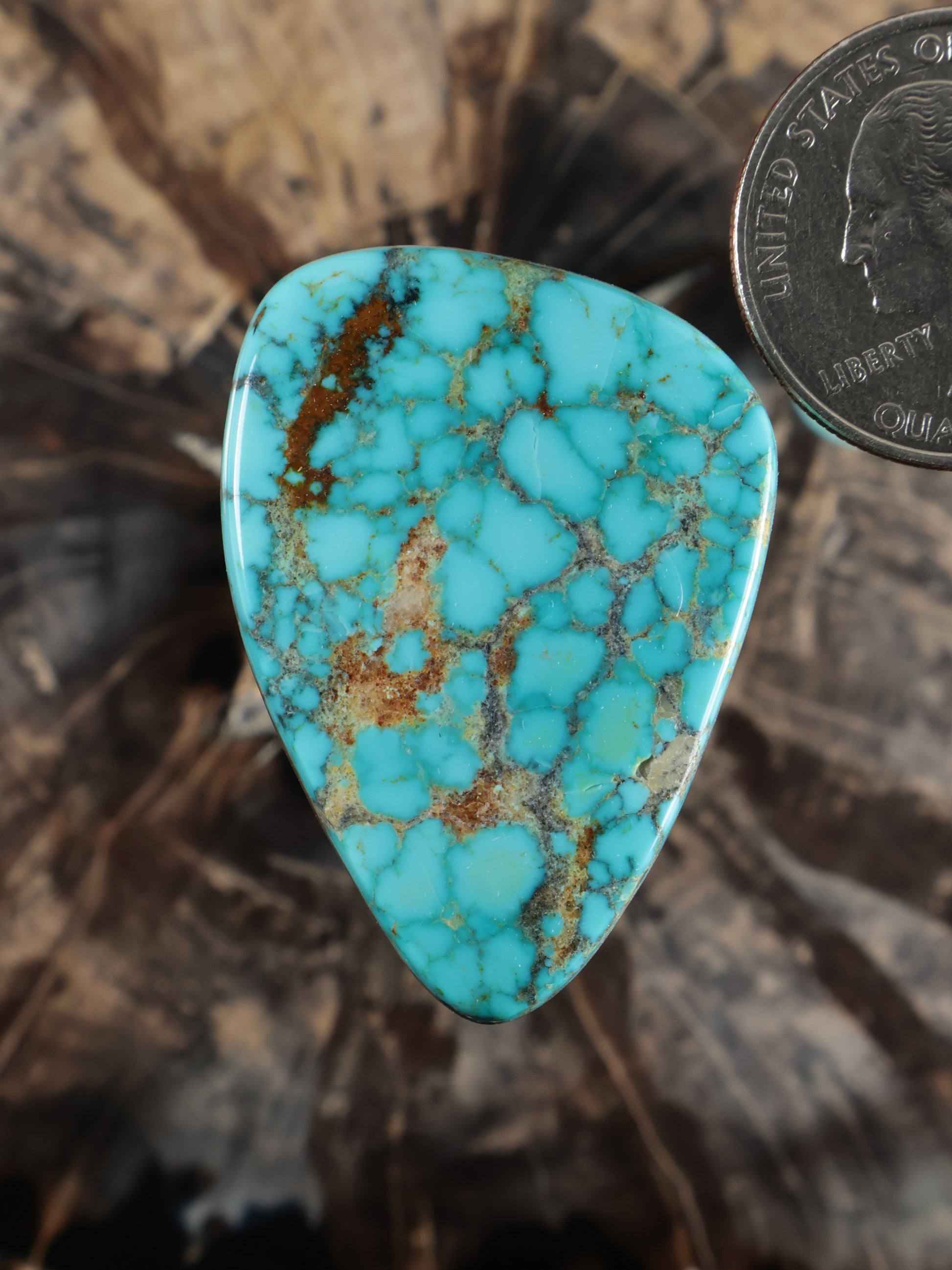 Turquoise cabochon stone in teardrop shape with brown matrix veining