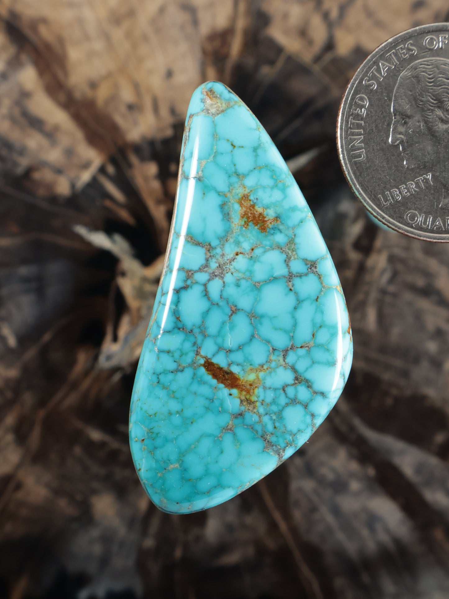 Moon River turquoise teardrop cabochon with gold-brown matrix veining, N783